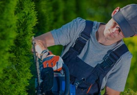 Hedging and pruning services in Melbourne