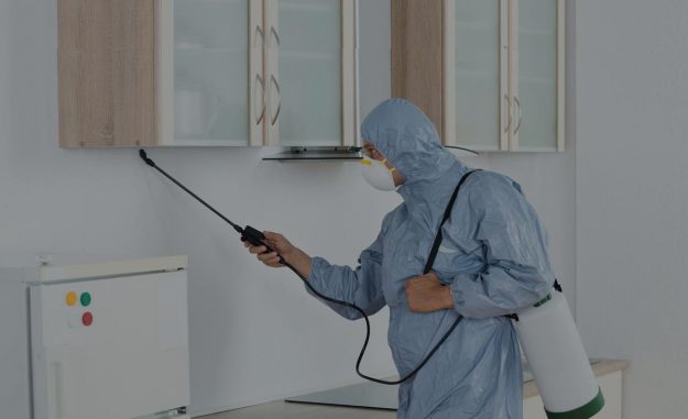 Melbourne Pest Control Services